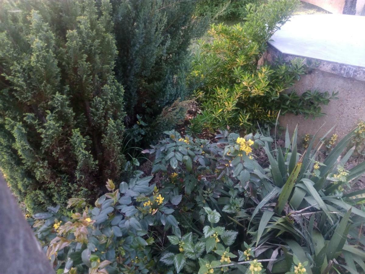 Willa Kuca Za Odmor Mazuran Karlovac Zewnętrze zdjęcie